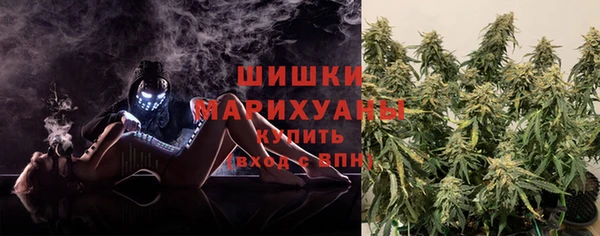 ГАЛЛЮЦИНОГЕННЫЕ ГРИБЫ Орехово-Зуево