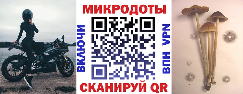 kraken ссылки  магазин продажи   Балей  Галлюциногенные грибы прущие грибы 